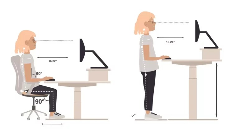 L'ergonomie : bien s'asseoir devant son poste de travail en position assise ou debout