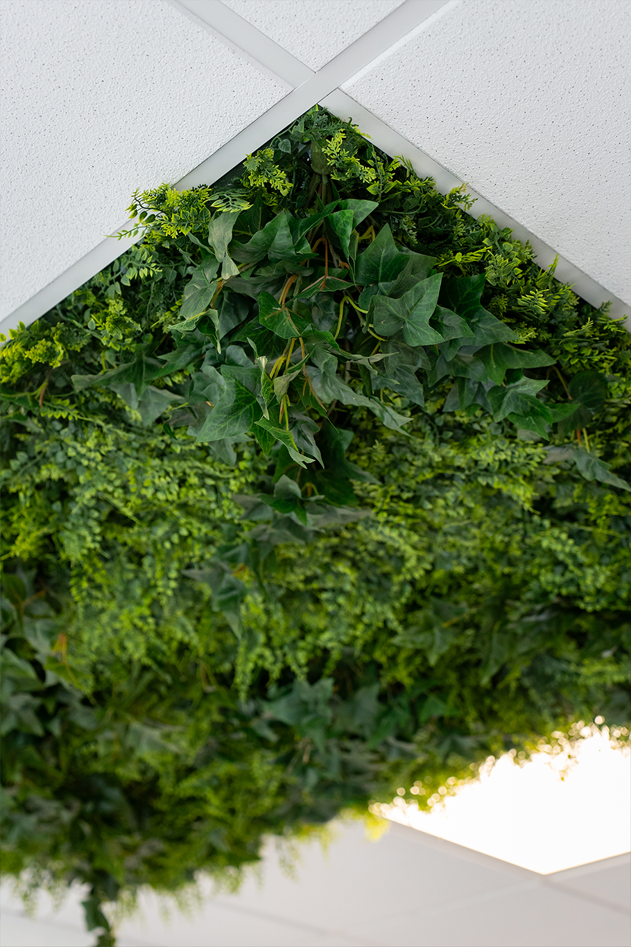 faux plafond végétal