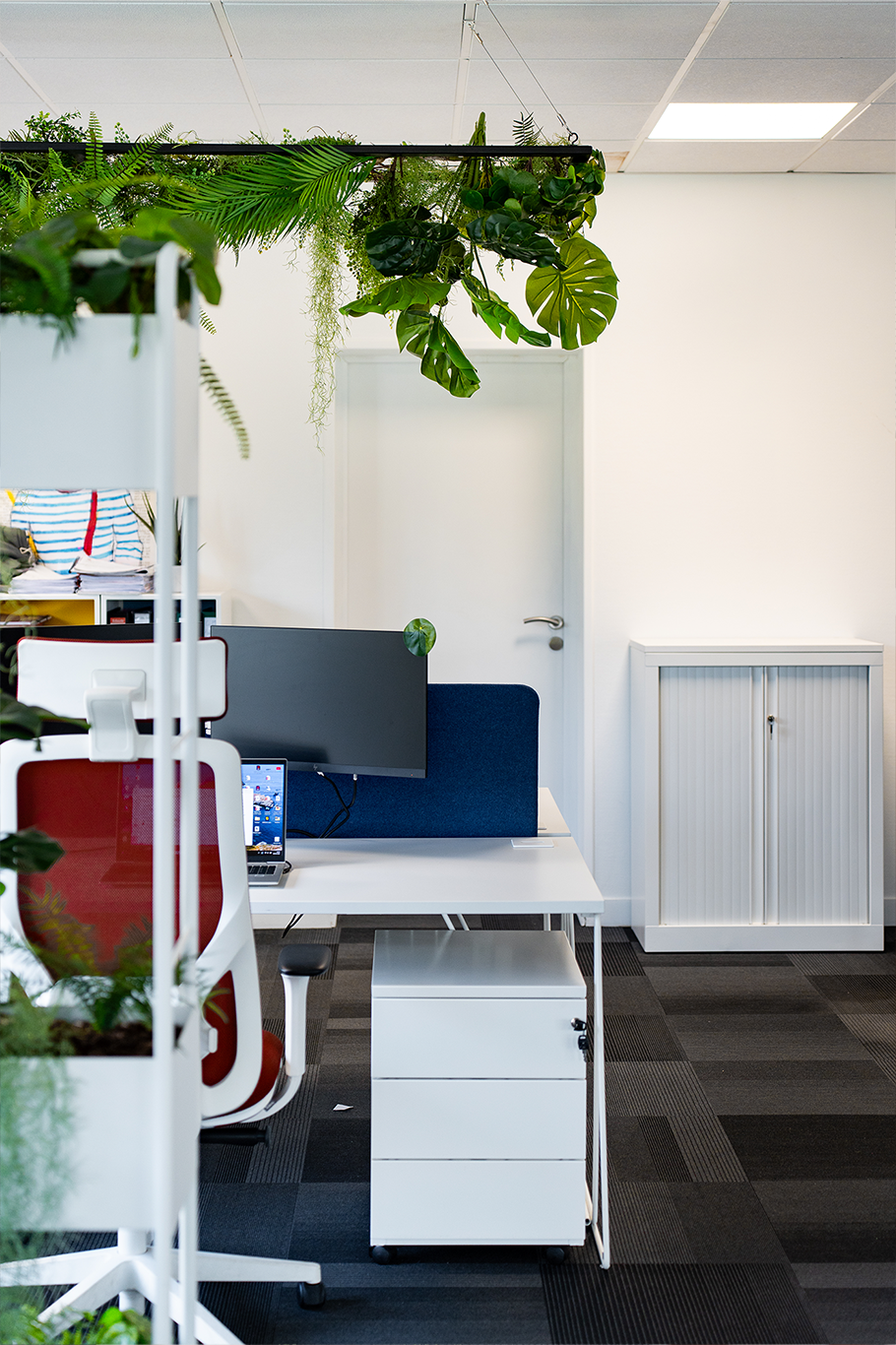 suspension végétalisee