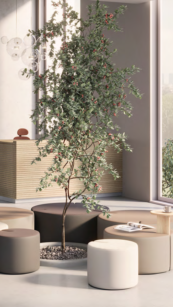Poufs professionnels gamme Orion tendance mobilier 2026